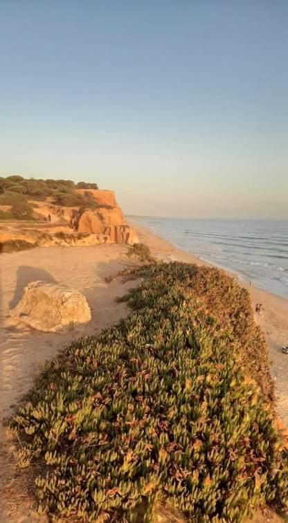 Alfamar V3 Falesia Beach Villa Albufeira Eksteriør bilde